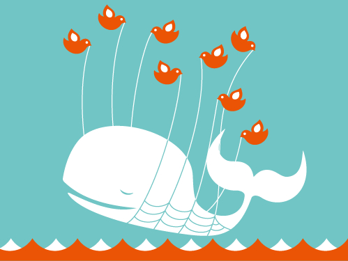 La verdadera historia de la ballena de Twitter 1