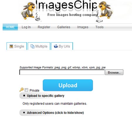 ImagesChip, servicio de alojamiento de imágenes 1