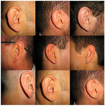 Nuevo método que ayuda a identificar a las personas por sus orejas. 1