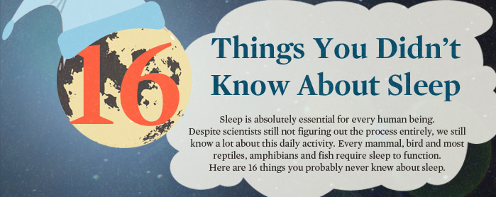 16 Cosas que debes saber sobre el sueño.[Infografía] 1