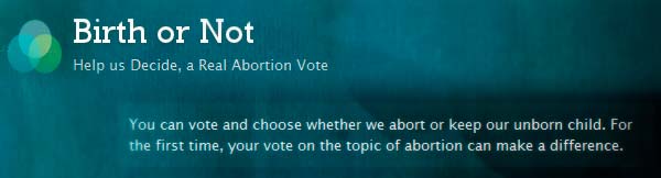Pareja abre blog para decidir si abortan o no. 1