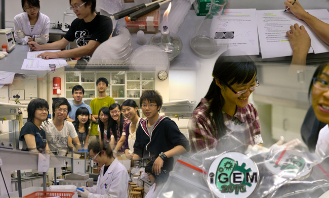 Investigadores de Hong Kong logran almacenar 90 Gb de datos en 1 gr de bacteria. 1