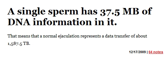Un espermatozoide almacena 37.5 Mb de información del ADN [WTF] 1