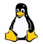 El año del cumpleaños de Linux – Felicidades en tus 20 Tux!
