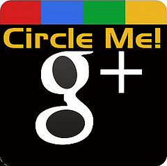 ¿Quienes son los que prefieren Google Plus?