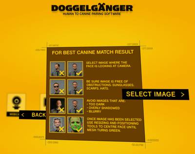 Doggelganger: de acuerdo a tu cara, encuentra al perro perfecto para ti 1