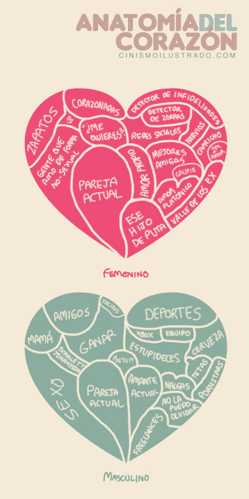 Anatomía del corazón masculino y femenino #Humor 1