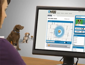 Tagg: Sistema para rastrear tu perro en Internet 1