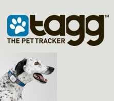 Tagg: Sistema para rastrear tu perro en Internet