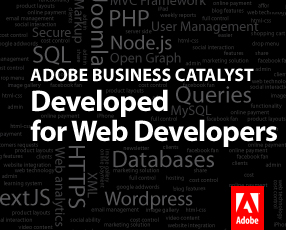 ¿Qué es Adobe Business Catalyst?  5 Herramientas Web en 1