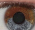 Lumineye, una nueva tecnología que transforma los ojos marrones en azules