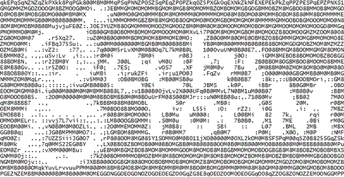 Ascgen2: Arte con caracteres ASCII 1