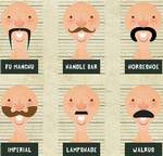 La verdad peluda acerca de los bigotes
