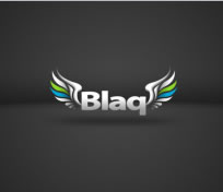 Blaq: Twitter sobre Blackberry Playbook integrado con Kout 1