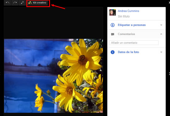 Picasa se actualizó a su versión 3.9 y se enlazó con Google + 3