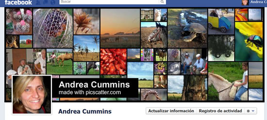 Personalizar tu portada de facebook con Pic Scatter 5