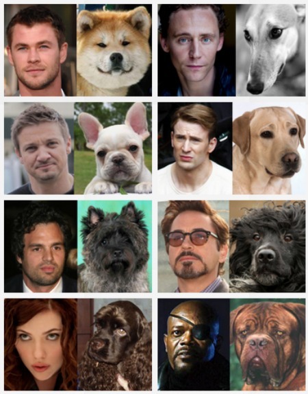 The Avengers y sus Doppelgängers, aunque estos son perros #Humor 1