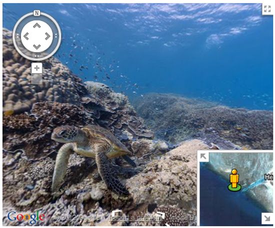 Google Maps incorpora primeras imágenes panorámicas interactivas de 360º del fondo del mar 2