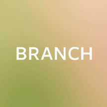 Branch.com: Una nueva manera de charlar en Internet