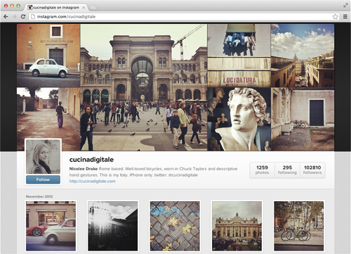 Instagram se suma a otros e introduce páginas de perfil de usuario 1