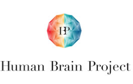 Human Brain Project: El esfuerzo en conjunto de 80 Universidades y miles de científicos