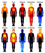 Estudio muestra en que partes del cuerpo humano impactan las distintas emociones