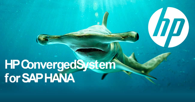 #HP ConvergedSystem, equipos optimizados para procesar SAP HANA con gran performance