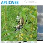 Aplicweb es un sitio que ofrece docenas de imágenes de dominio público de alta calidad #Fotografía