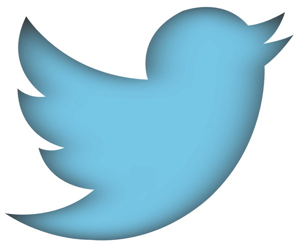 twitter-new-bird
