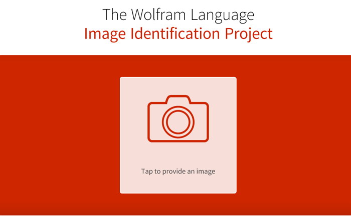 the-wolfram-language-image-identification-project