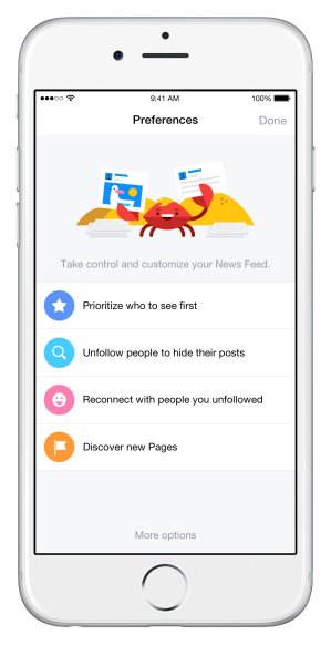 facebook-news-feed-ios-preferences