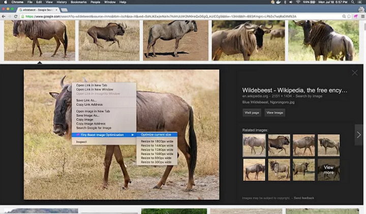 Tiny Beest Image Optimization, extensión de Chrome para redimensionar y optimizar imágenes