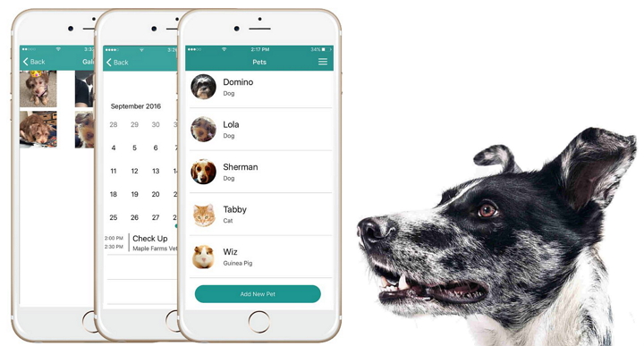 The Petter, aplicación para gestionar toda la información de tus mascotas