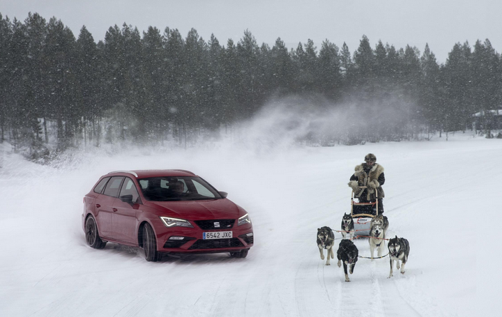 6 Huskies se miden contra el SEAT León CUPRA en un lago congelado de Finlandia [Vídeo]