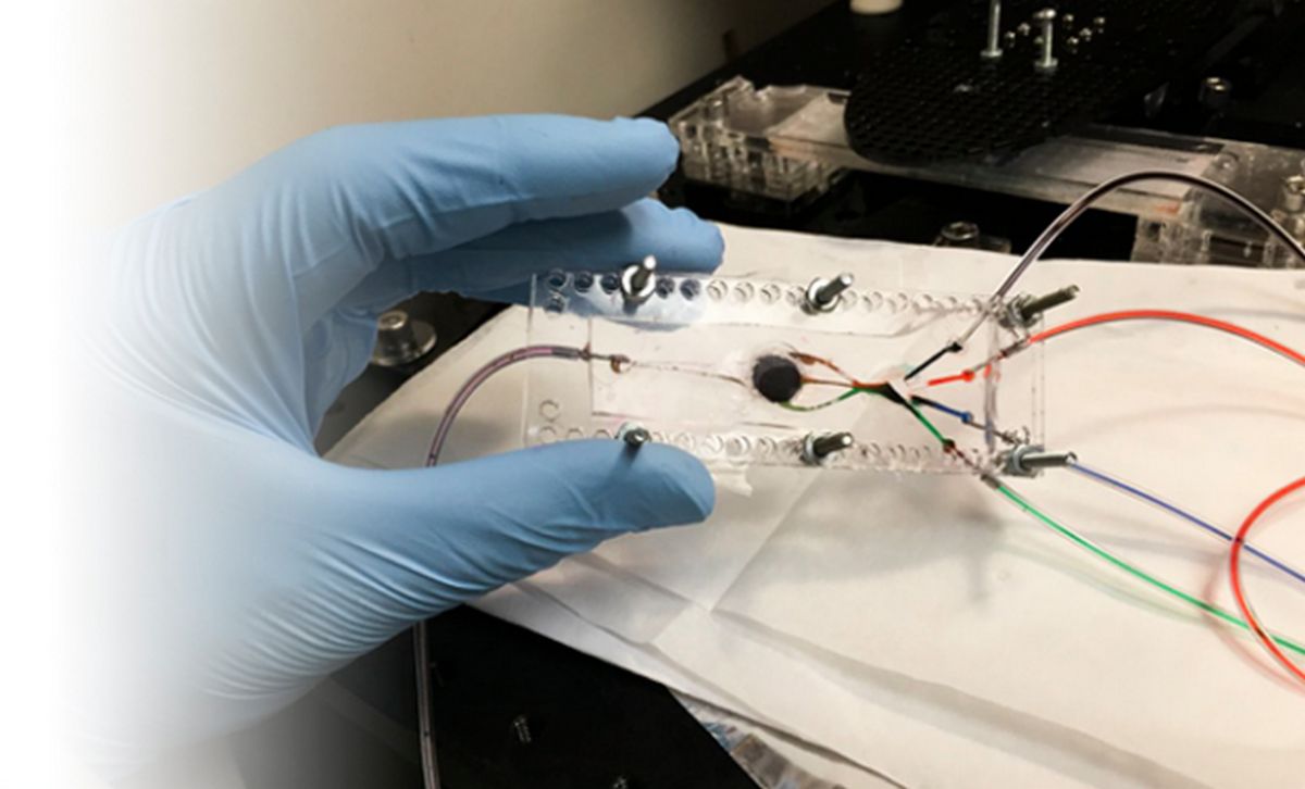 Desarrollan impresora 3D para crear tejidos biológicos complejos