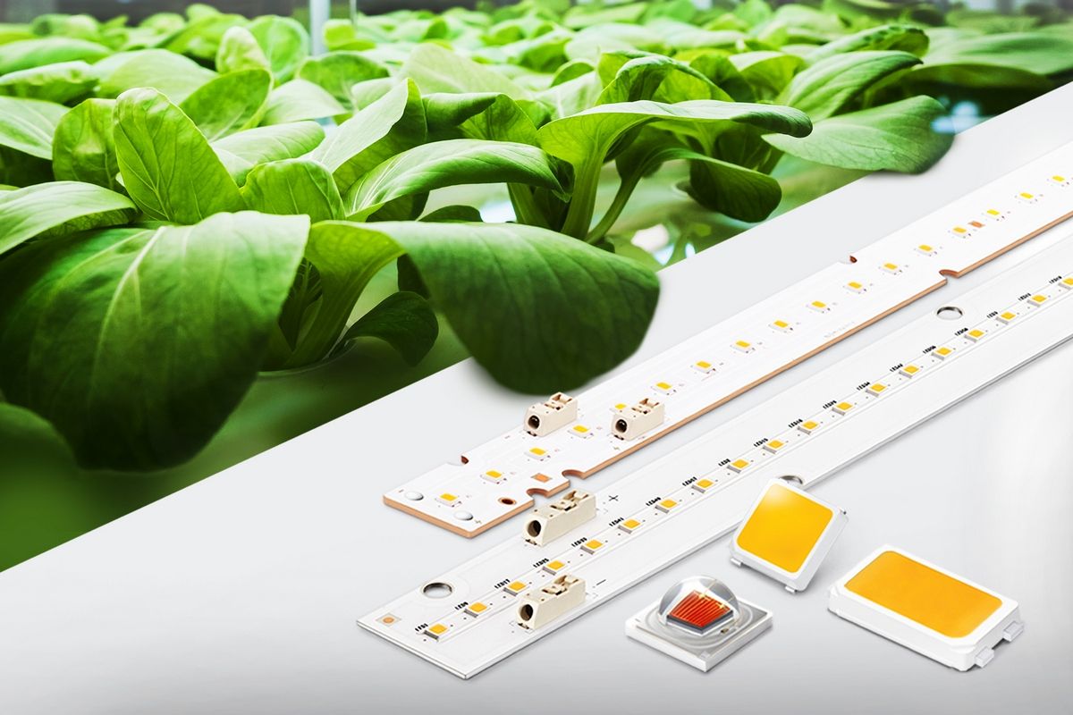 Samsung lanza nuevos LED que ayudan a las plantas a crecer