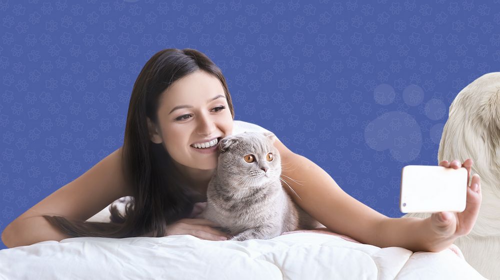 PetSmooch, la red social para perros, gatos y otras mascotas del hogar
