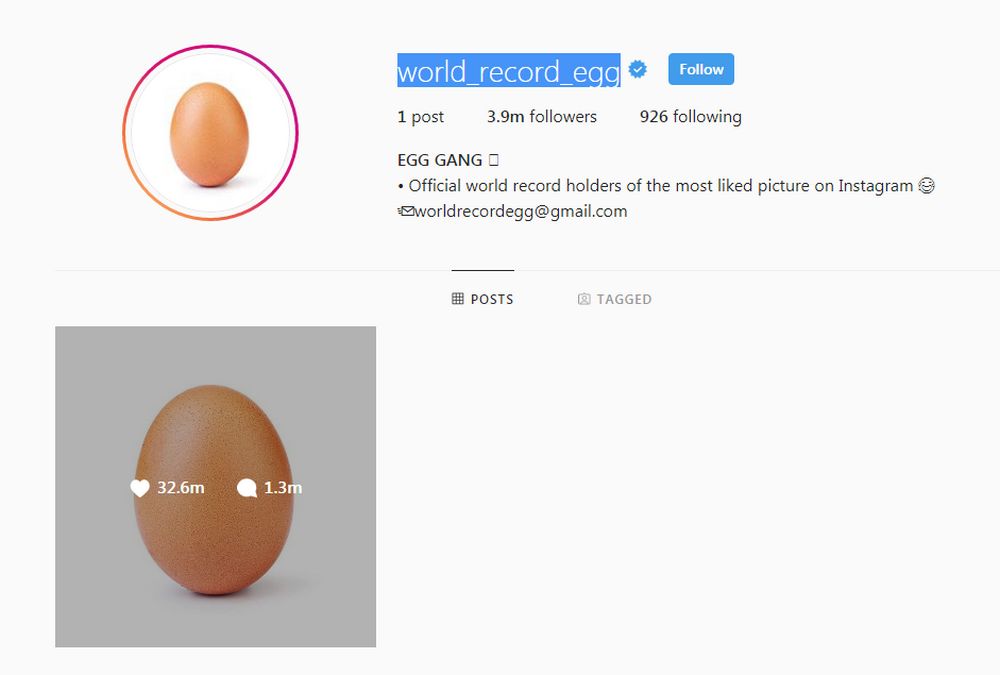 Instagram World Record Egg
