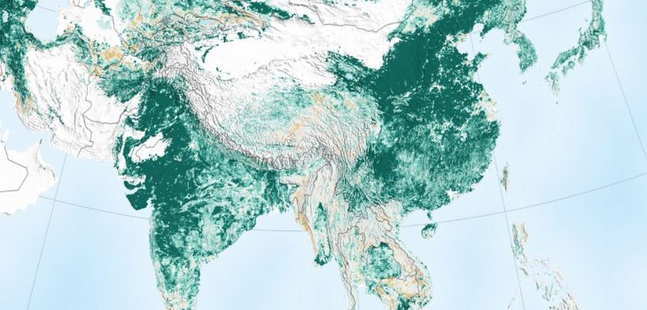 NASA revela que la tierra hoy es más verde que 20 años atrás gracias a China e India