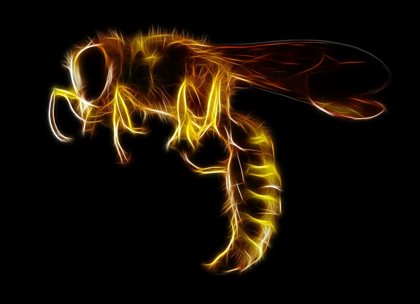 Wasp (HiddenWasp Malware)