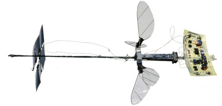 RoboBee X-Wing, un diminuto robot que puede volar con energía solar