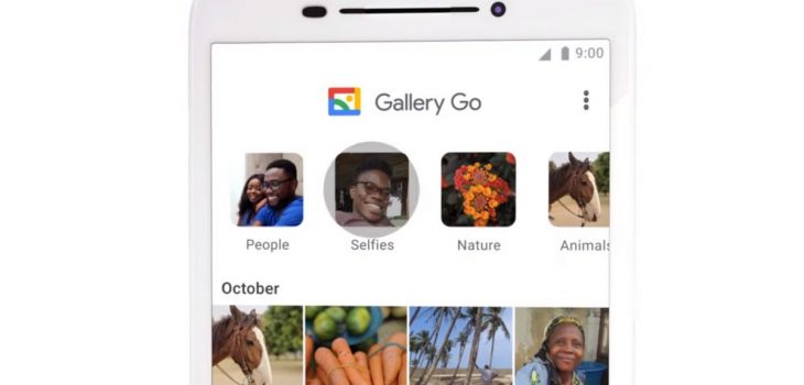 Galería Go de Google, nueva galería para organizar mejor tus imágenes y vídeos