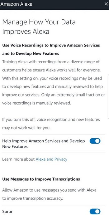 Amazon Alexa Revisión de Conversaciones