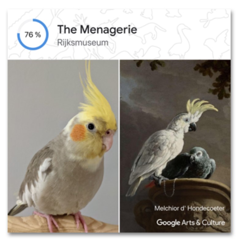 Arte y Cultura de Google introduce Retratos de Mascotas