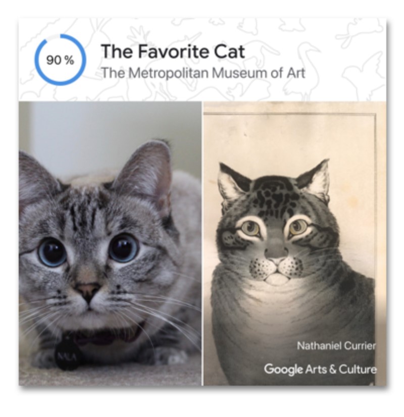 Arte y Cultura de Google - Retrato de Mascotas