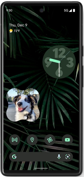 Google Fotos Android - Widget Personas y Mascotas