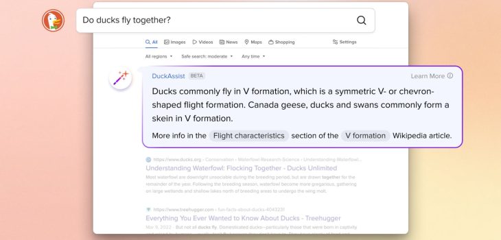 DuckDuckGo lanza DuckAssist, respuestas generadas con ayuda de IA