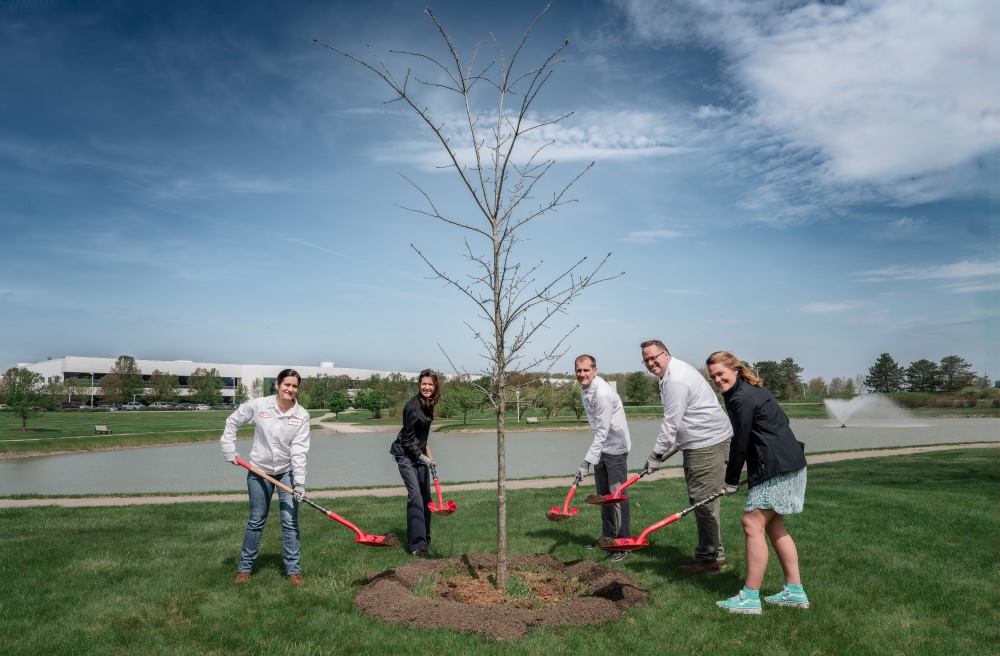 Honda planta 85,000 árboles para mejorar la biodiversidad y capturar carbono